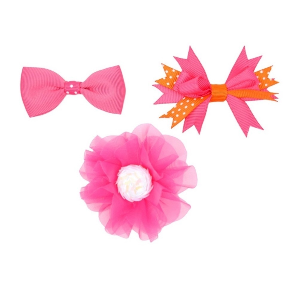 Vibrant Life Dog Hair Accessories
